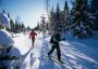 ski_2.jpg