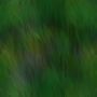green.jpg