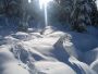 winter.jpg