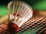 badminton.jpg