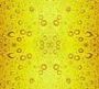 yello072.jpg