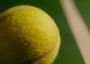 tennis_ball.jpg