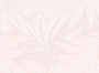 natfl210.gif