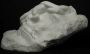 white_sculpture.jpg