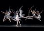 ballet.jpg