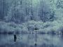 winter_2.jpg