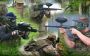 paintball.jpg